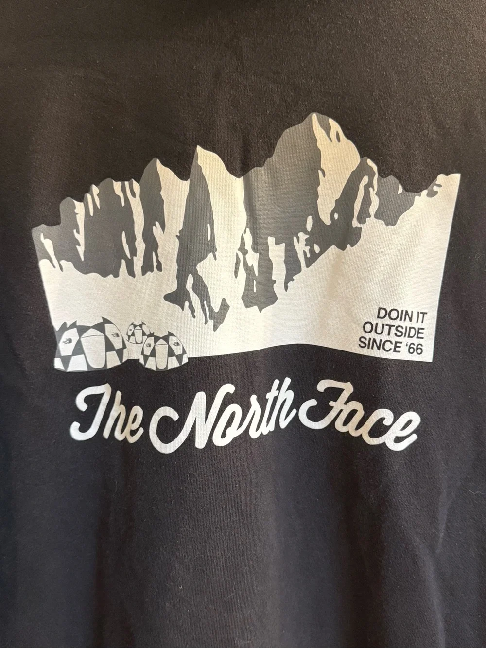 The North Face north face